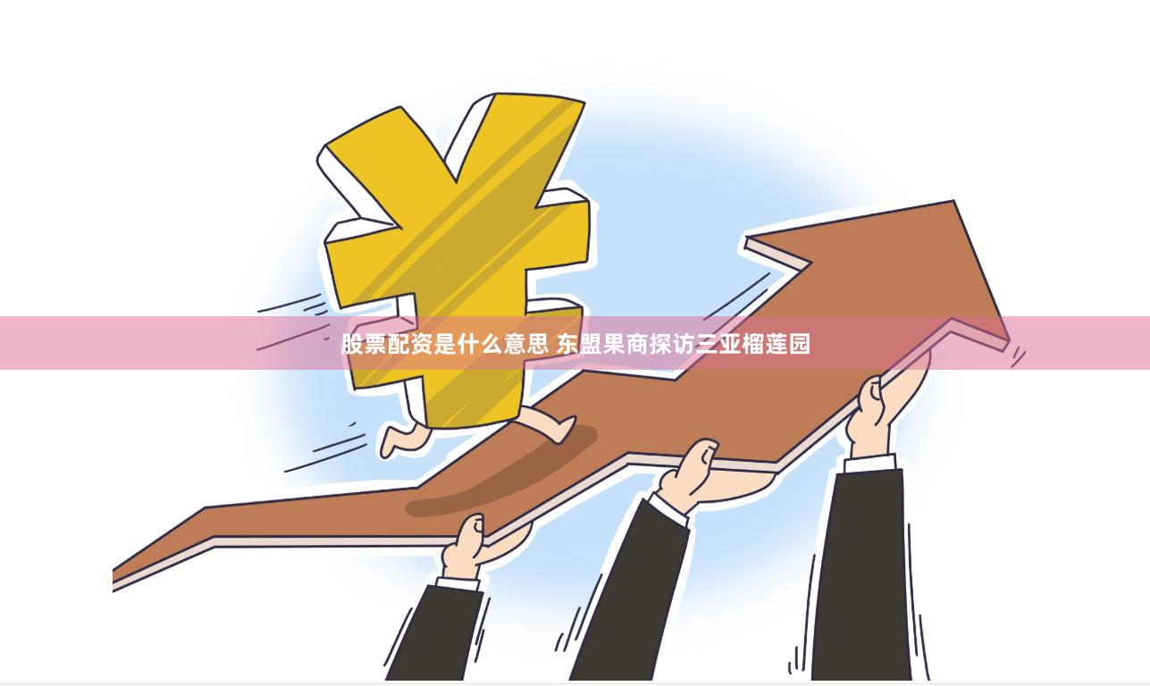 股票配资是什么意思 东盟果商探访三亚榴莲园