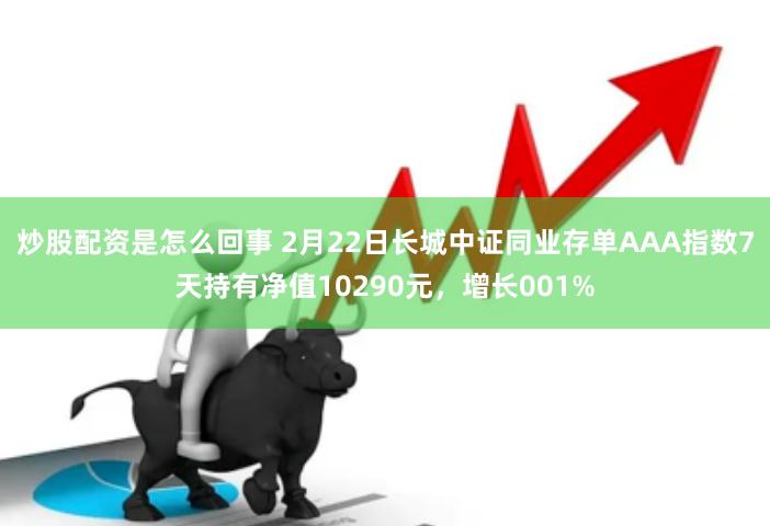 炒股配资是怎么回事 2月22日长城中证同业存单AAA指数7天持有净值10290元，增长001%