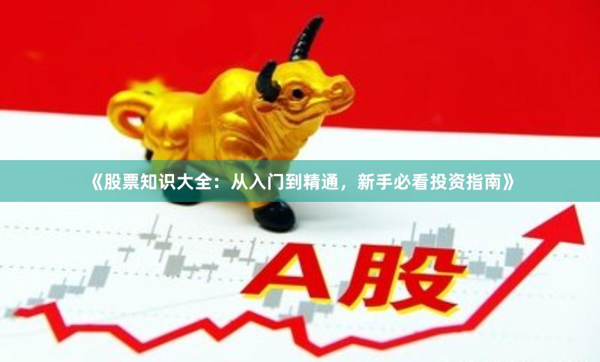 《股票知识大全：从入门到精通，新手必看投资指南》